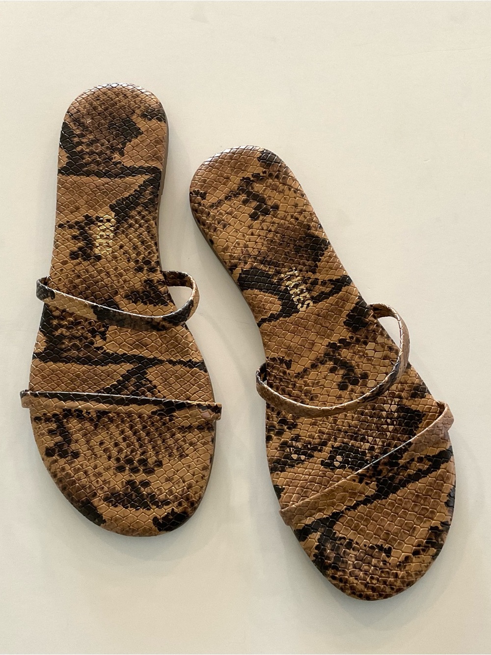 TKEES Gemma Snake in Black Brown Size 7